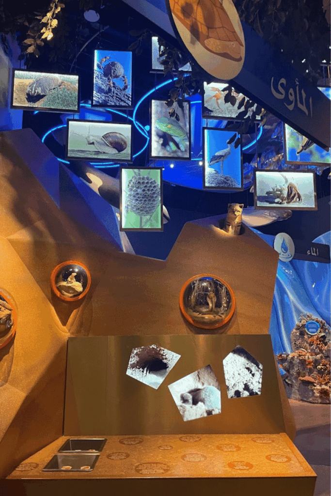 Educational Places for Kids in Riyadh