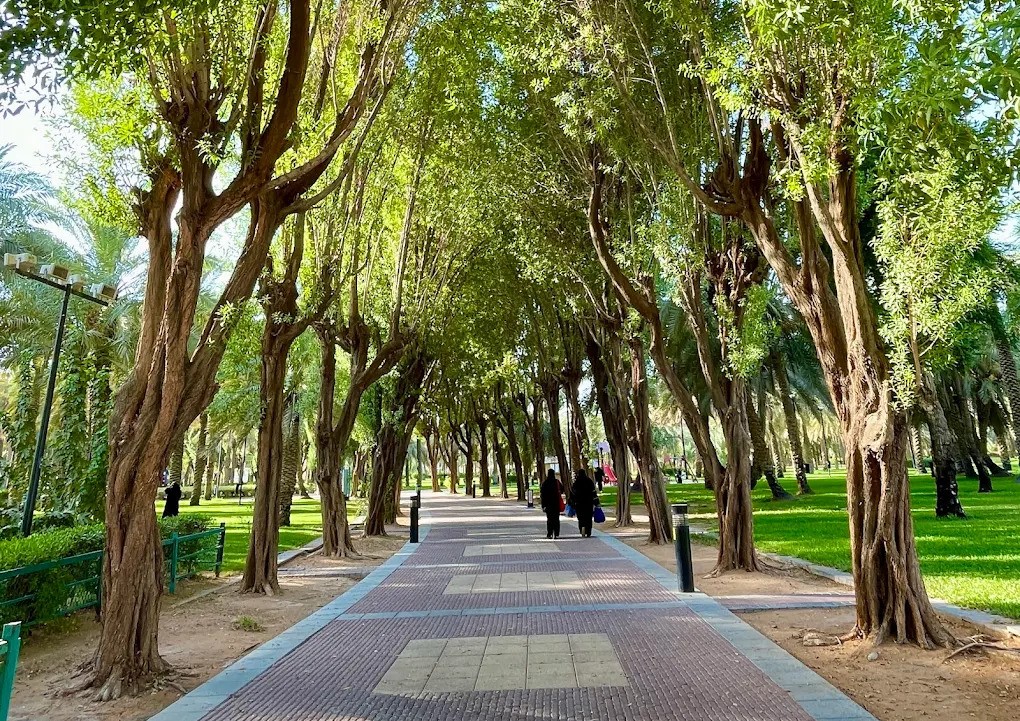 Salam Park Riyadh lake and palm grove area