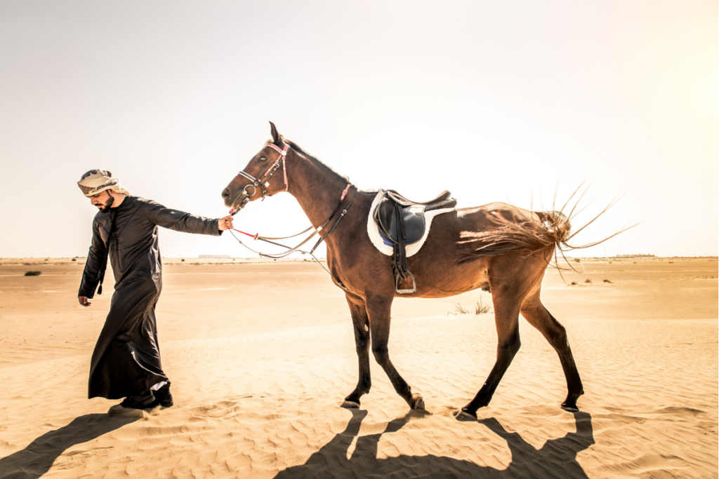 Horse riding in Riyadh desert