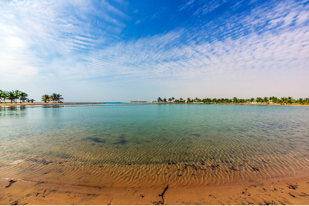 Snorkelling in Yanbu Red Sea