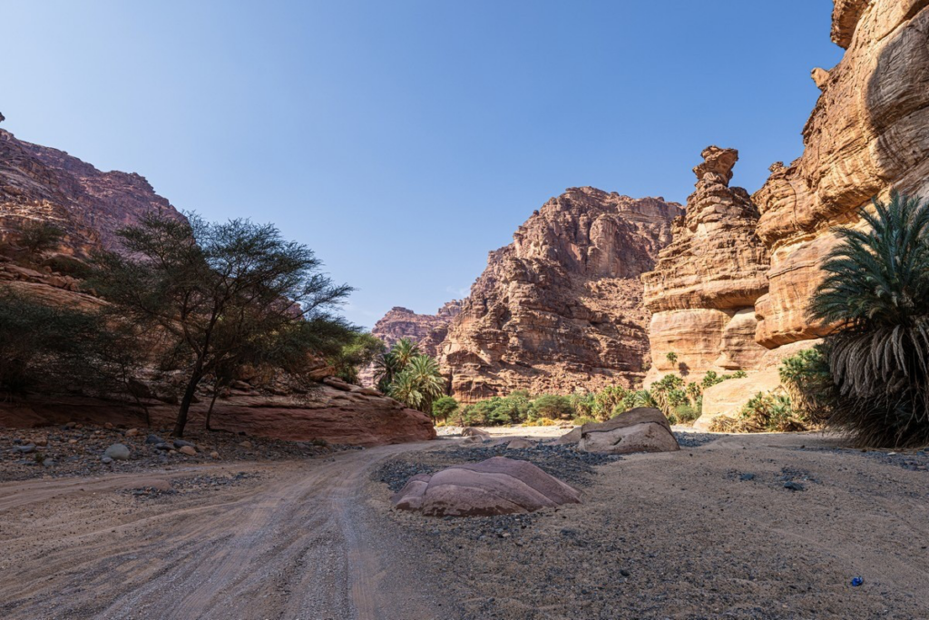 Winter desert camp in Saudi Arabia