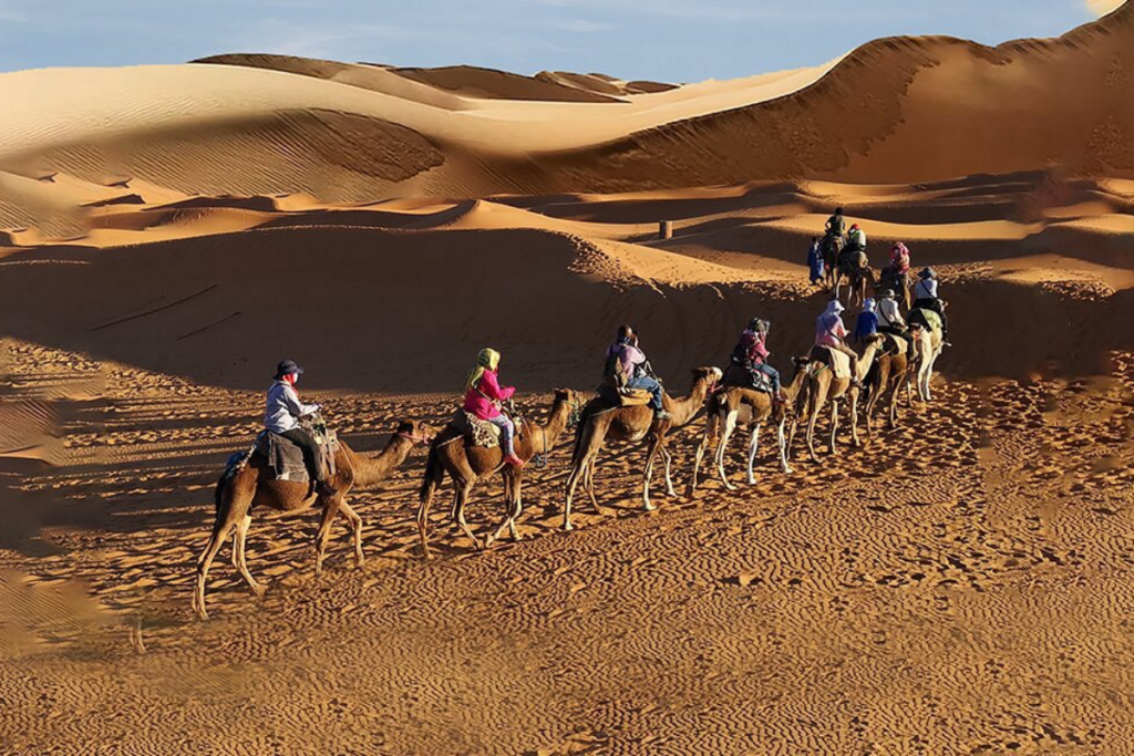 Best Desert Safari in Riyadh