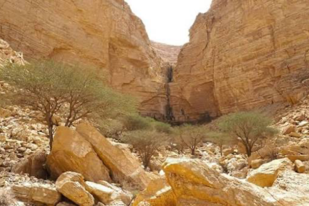 Desert hiking at Wadi Nisah near Riyadh