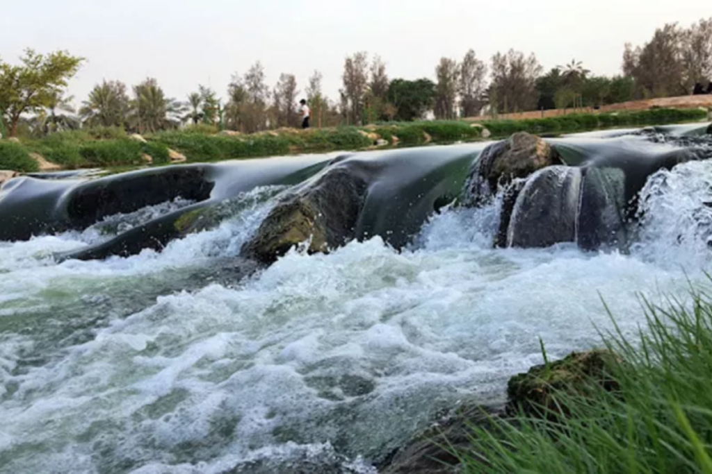Walking trail and palm trees at Wadi Hanifah Riyadh