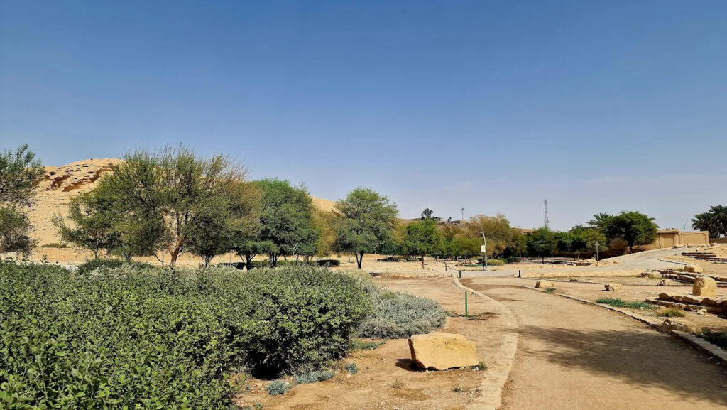 Wadi Hanifah running trails in Riyadh featuring an 8 km scenic route